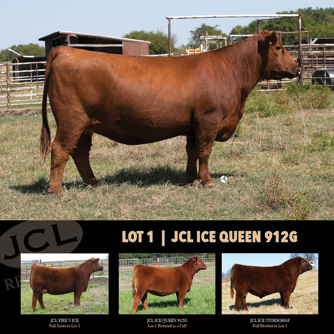 JCL Red Angus Mobile Catalog CCI.Live