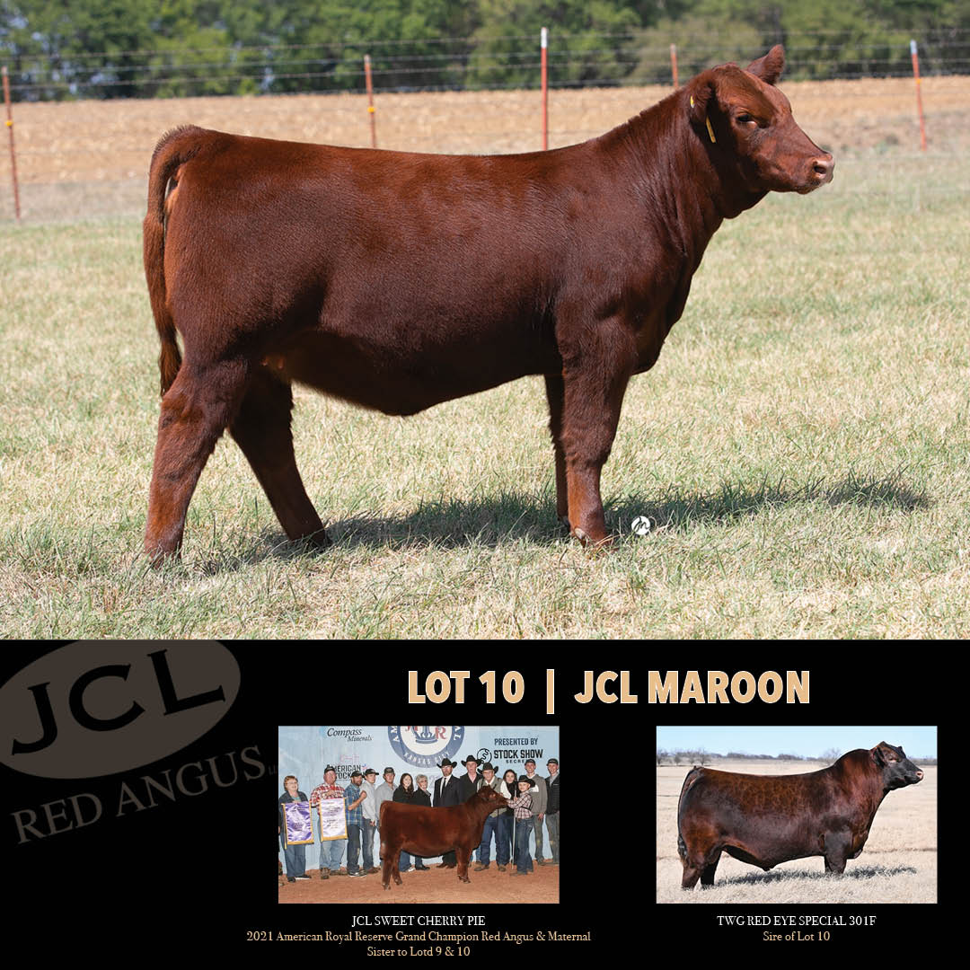 JCL Red Angus Mobile Catalog CCI.Live
