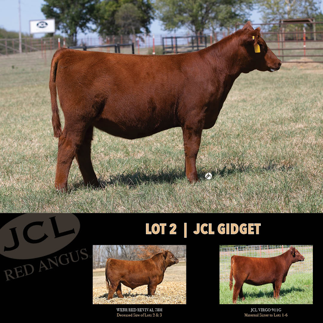 JCL Red Angus Mobile Catalog CCI.Live